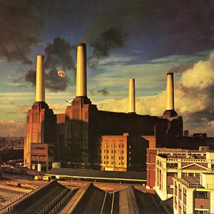 Pink Floyd | Animals